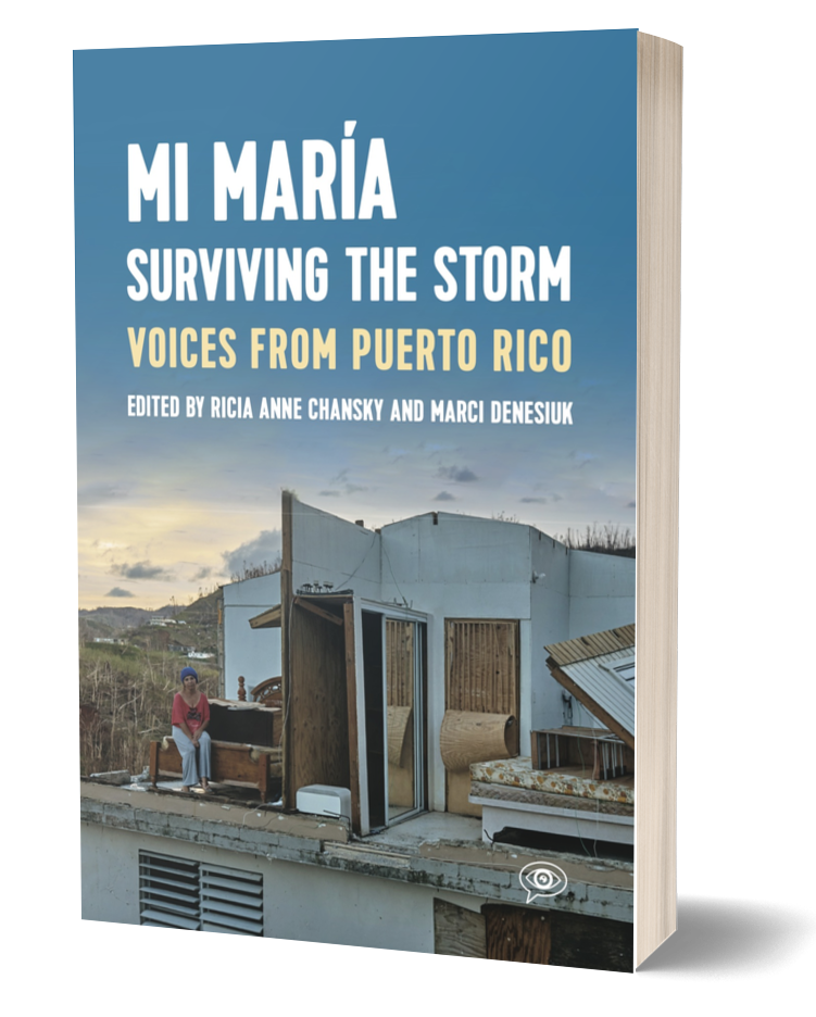 Mi María book cover